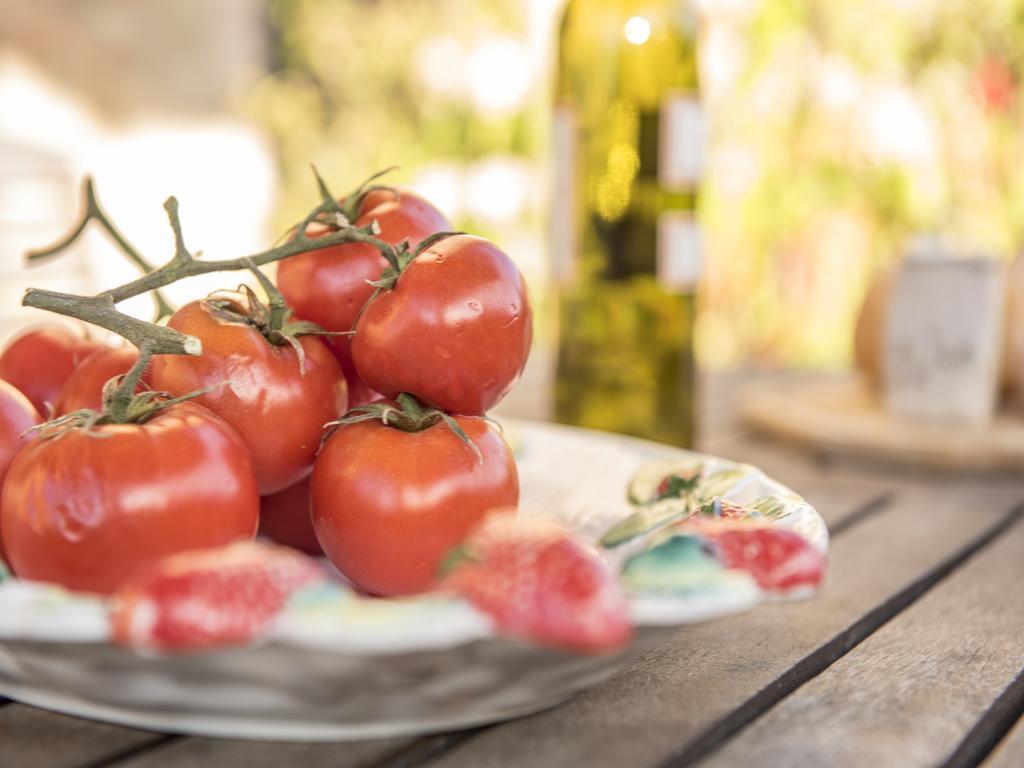 Appartamento La Roccaia San Gimignano Dış mekan fotoğraf